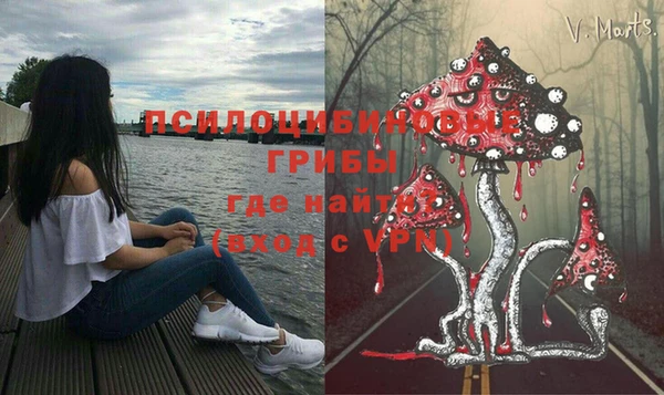 стафф Абаза