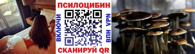 Галлюциногенные грибы Psilocybe  где можно купить наркотик  Алейск 